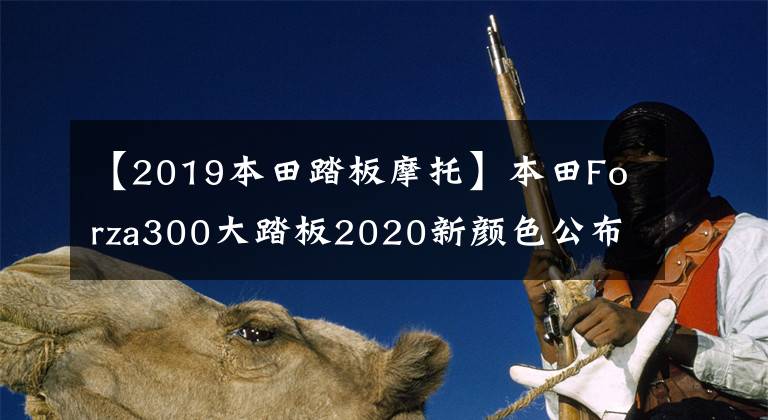 【2019本田踏板摩托】本田Forza300大踏板2020新顏色公布