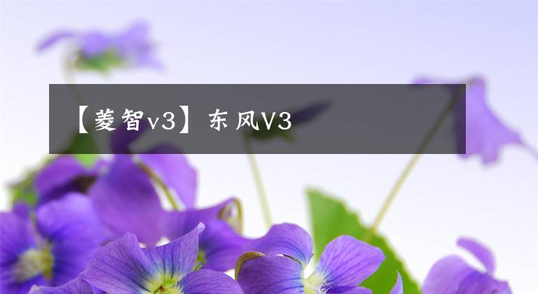 【菱智v3】東風(fēng)V3