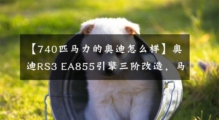 【740匹馬力的奧迪怎么樣】奧迪RS3 EA855引擎三階改造，馬力達(dá)到740匹