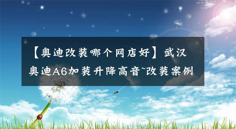 【奧迪改裝哪個網(wǎng)店好】武漢奧迪A6加裝升降高音~改裝案例-改裝店推薦