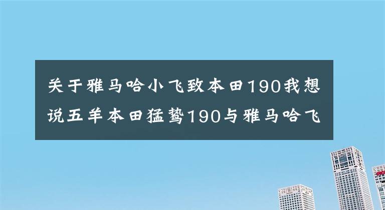 關(guān)于雅馬哈小飛致本田190我想說(shuō)五羊本田猛鷙190與雅馬哈飛致250選哪個(gè)