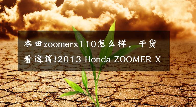 本田zoomerx110怎么樣，干貨看這篇!2013 Honda ZOOMER X 110