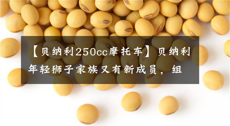 【貝納利250cc摩托車】貝納利年輕獅子家族又有新成員，組裝了150水冷發(fā)動機，進入門檻更低