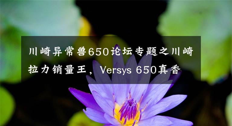 川崎異常獸650論壇專題之川崎拉力銷量王，Versys 650真香