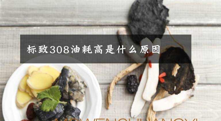 標(biāo)致308油耗高是什么原因