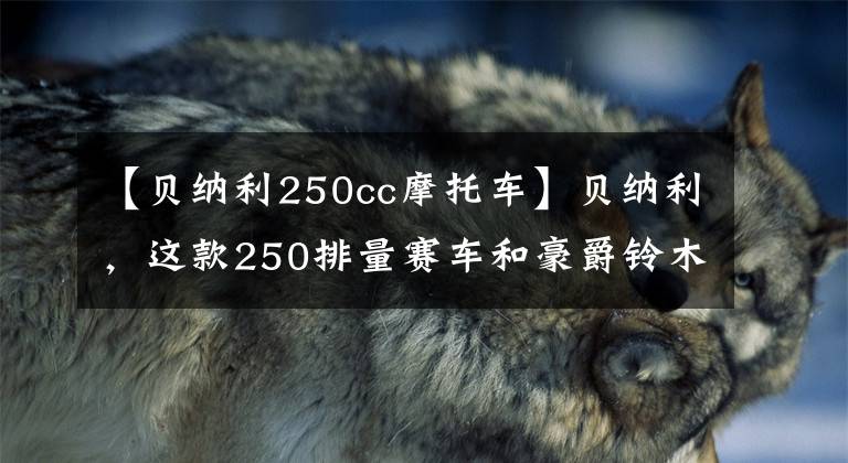 【貝納利250cc摩托車】貝納利，這款250排量賽車和豪爵鈴木250怎么選，造型風(fēng)的仿制比賽嗎？