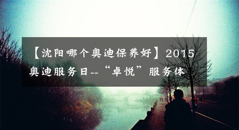 【沈陽哪個(gè)奧迪保養(yǎng)好】2015奧迪服務(wù)日--“卓悅”服務(wù)體驗(yàn)