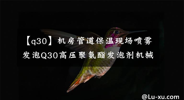 【q30】機房管道保溫現(xiàn)場噴霧發(fā)泡Q30高壓聚氨酯發(fā)泡劑機械按鈕控制