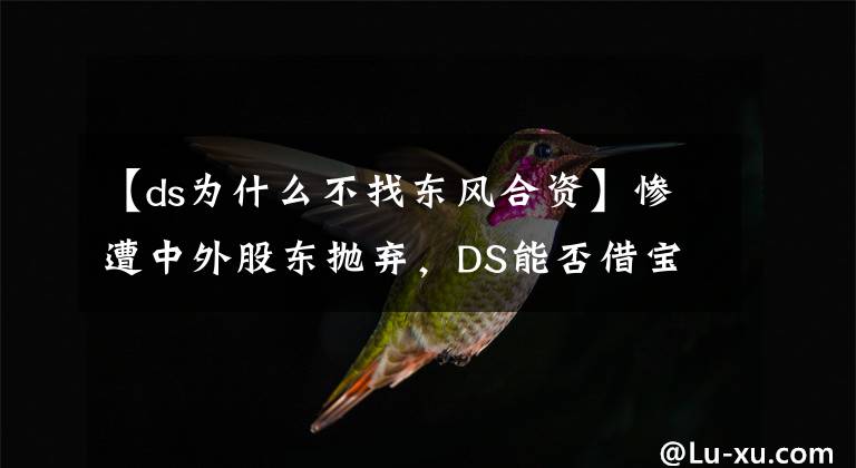 【ds為什么不找東風(fēng)合資】慘遭中外股東拋棄，DS能否借寶能存活？