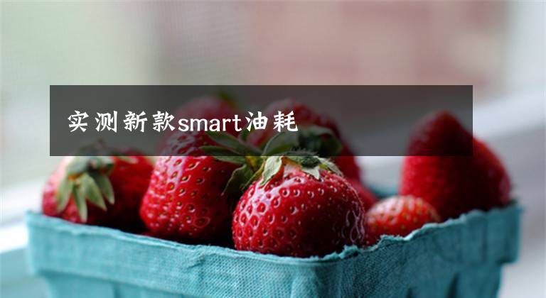 實(shí)測新款smart油耗