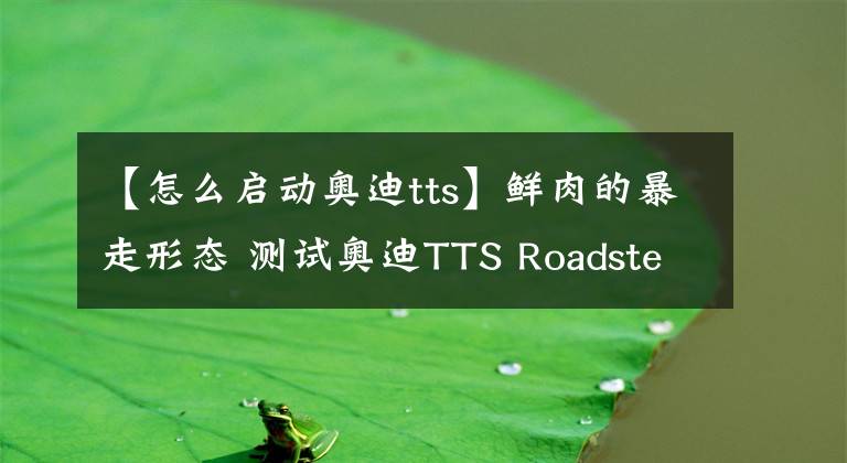 【怎么啟動(dòng)奧迪tts】鮮肉的暴走形態(tài) 測(cè)試奧迪TTS Roadster