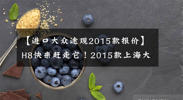 【進(jìn)口大眾途觀2015款報(bào)價(jià)】H8快來(lái)趕走它！2015款上海大眾途棺上市