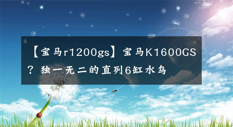 【寶馬r1200gs】寶馬K1600GS？獨一無二的直列6缸水鳥