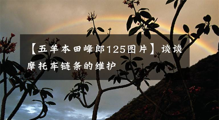 【五羊本田峰郎125圖片】談?wù)勀ν熊囨湕l的維護(hù)
