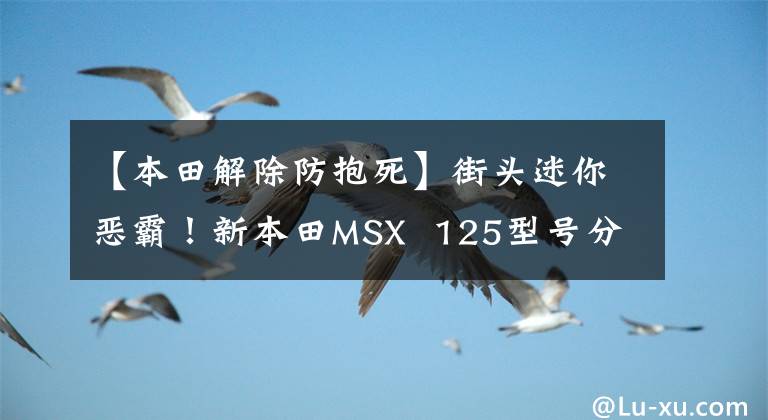 【本田解除防抱死】街頭迷你惡霸！新本田MSX 125型號(hào)分析照片欣賞