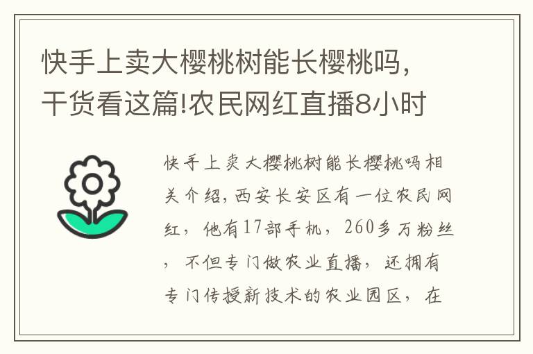 快手上賣大櫻桃樹(shù)能長(zhǎng)櫻桃嗎，干貨看這篇!農(nóng)民網(wǎng)紅直播8小時(shí)賣出2400斤櫻桃！農(nóng)業(yè)經(jīng)濟(jì)網(wǎng)紅是否開(kāi)始騰飛？