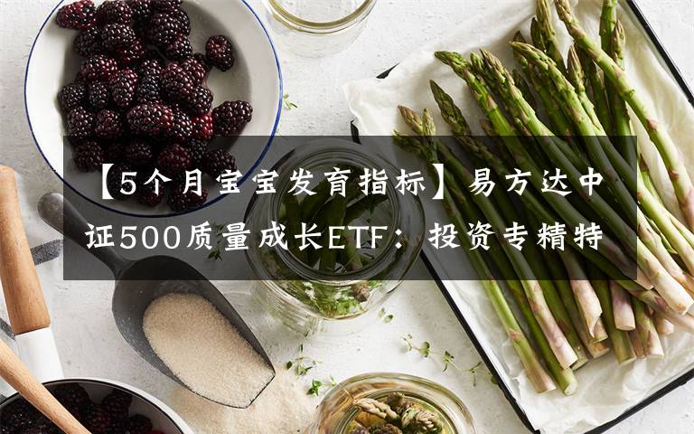 【5個月寶寶發(fā)育指標(biāo)】易方達中證500質(zhì)量成長ETF：投資專精特新高質(zhì)量成長（國信策略）