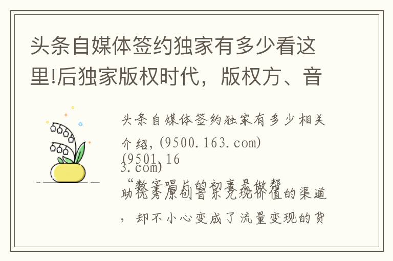 頭條自媒體簽約獨家有多少看這里!后獨家版權(quán)時代，版權(quán)方、音樂人、平臺 將面臨什么？