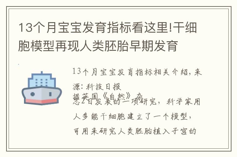 13個月寶寶發(fā)育指標看這里!干細胞模型再現(xiàn)人類胚胎早期發(fā)育