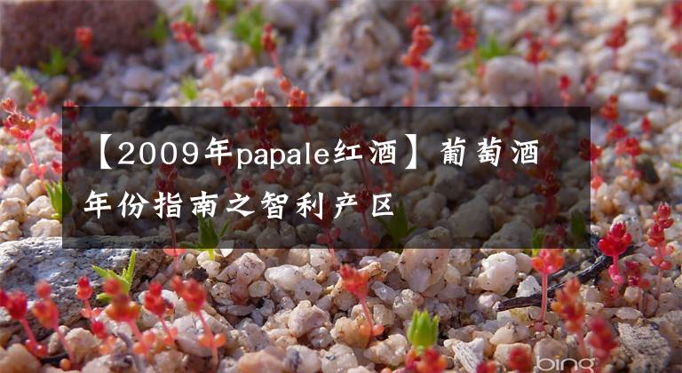 【2009年papale紅酒】葡萄酒年份指南之智利產(chǎn)區(qū)