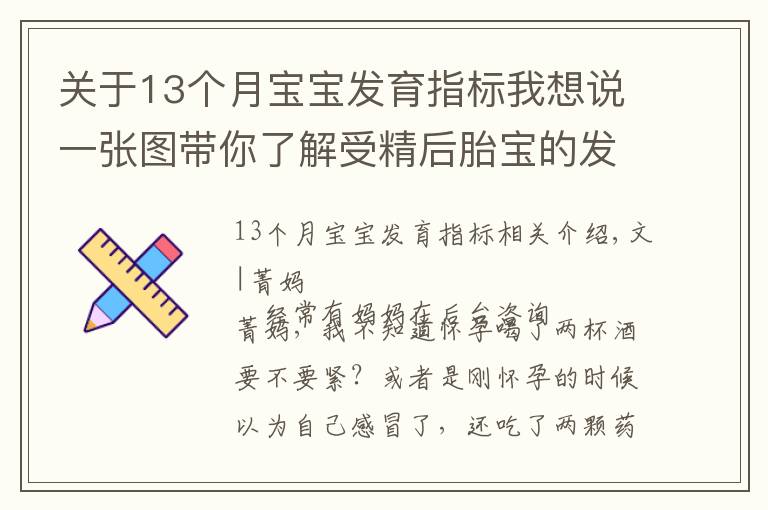 關于13個月寶寶發(fā)育指標我想說一張圖帶你了解受精后胎寶的發(fā)育，孕媽早清楚避免畸形發(fā)生