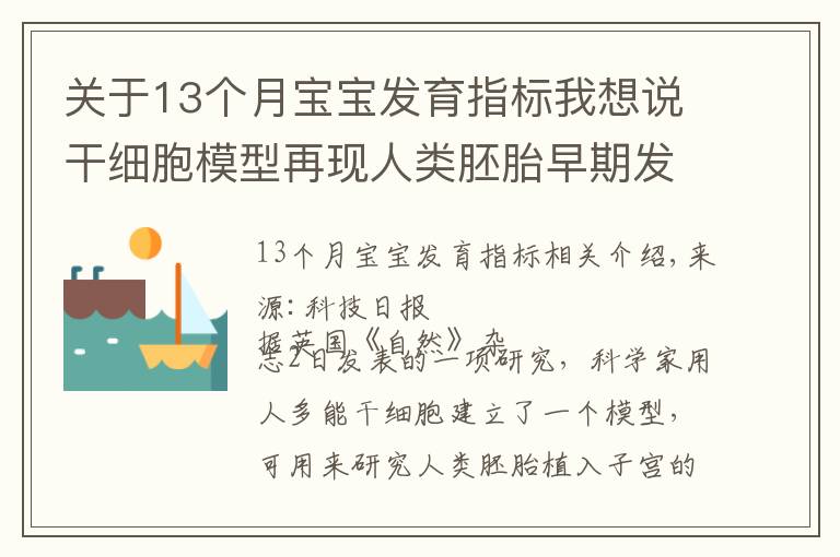 關于13個月寶寶發(fā)育指標我想說干細胞模型再現(xiàn)人類胚胎早期發(fā)育