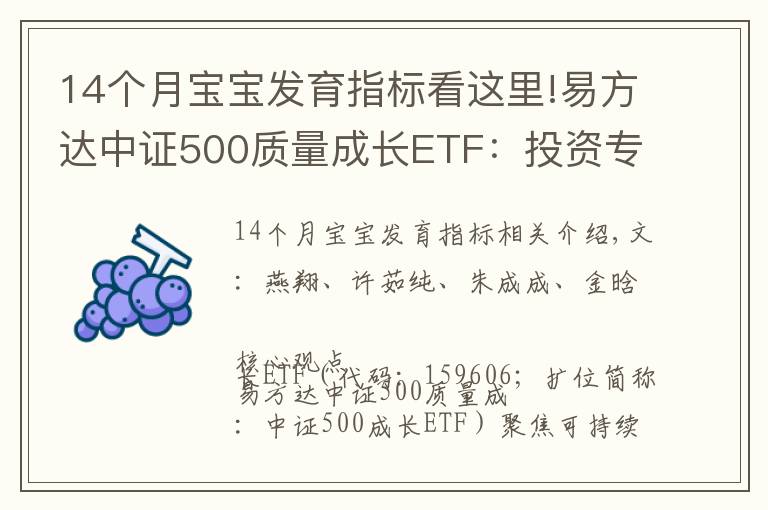 14個月寶寶發(fā)育指標(biāo)看這里!易方達中證500質(zhì)量成長ETF：投資專精特新高質(zhì)量成長（國信策略）