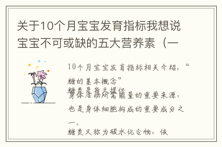 關于10個月寶寶發(fā)育指標我想說寶寶不可或缺的五大營養(yǎng)素（一）