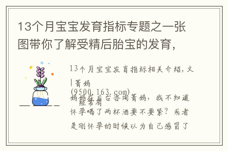 13個月寶寶發(fā)育指標專題之一張圖帶你了解受精后胎寶的發(fā)育，孕媽早清楚避免畸形發(fā)生