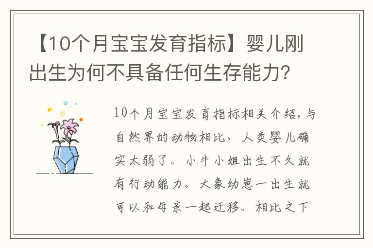 【10個(gè)月寶寶發(fā)育指標(biāo)】嬰兒剛出生為何不具備任何生存能力？