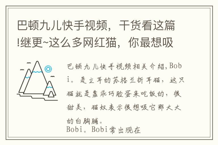 巴頓九兒快手視頻，干貨看這篇!繼更~這么多網(wǎng)紅貓，你最想吸哪只？