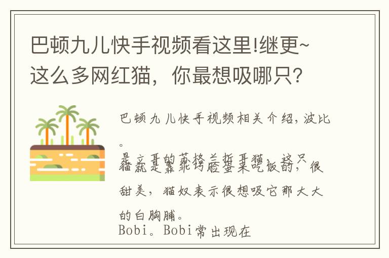 巴頓九兒快手視頻看這里!繼更~這么多網(wǎng)紅貓，你最想吸哪只？