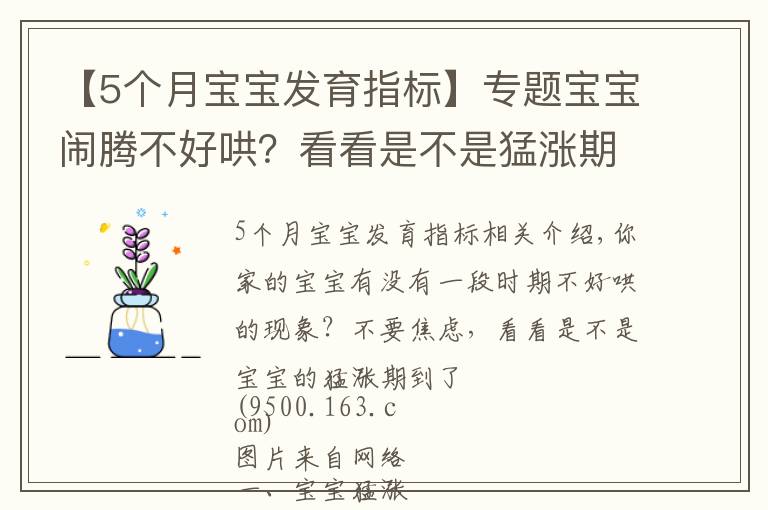 【5個月寶寶發(fā)育指標】專題寶寶鬧騰不好哄？看看是不是猛漲期到了