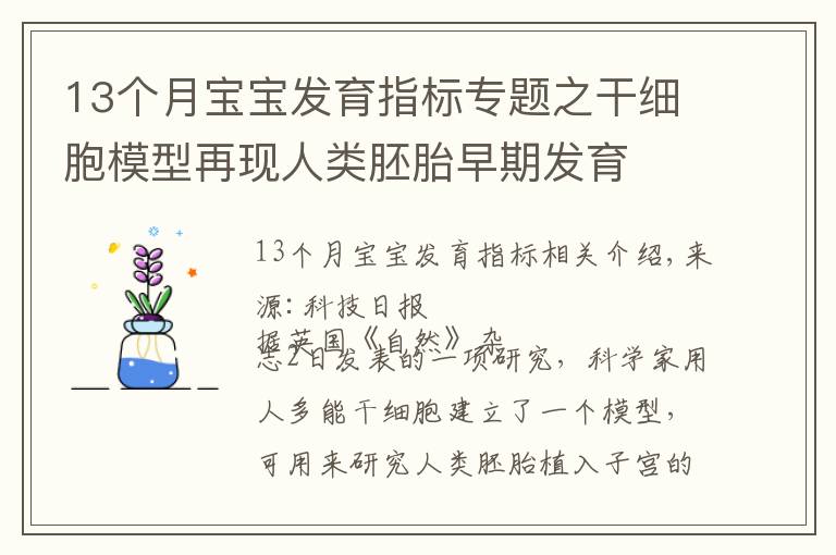 13個月寶寶發(fā)育指標專題之干細胞模型再現(xiàn)人類胚胎早期發(fā)育