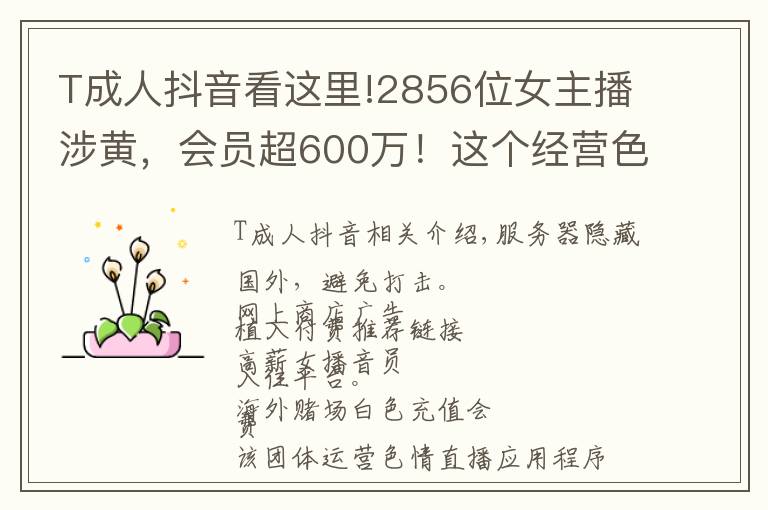 T成人抖音看這里!2856位女主播涉黃，會員超600萬！這個經(jīng)營色情直播App團伙被公訴