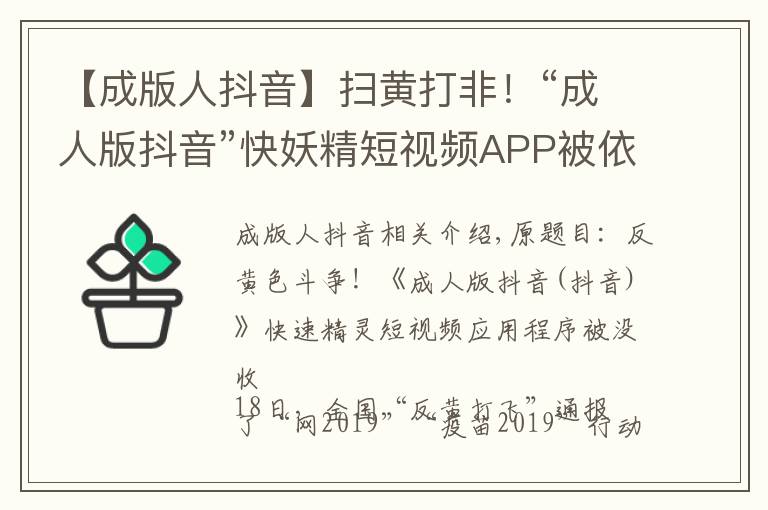 【成版人抖音】掃黃打非！“成人版抖音”快妖精短視頻APP被依法查封