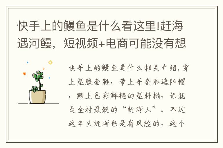 快手上的鰻魚是什么看這里!趕海遇河鰻，短視頻+電商可能沒有想象的那么好