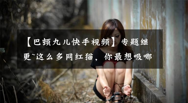 【巴頓九兒快手視頻】專題繼更~這么多網(wǎng)紅貓，你最想吸哪只？