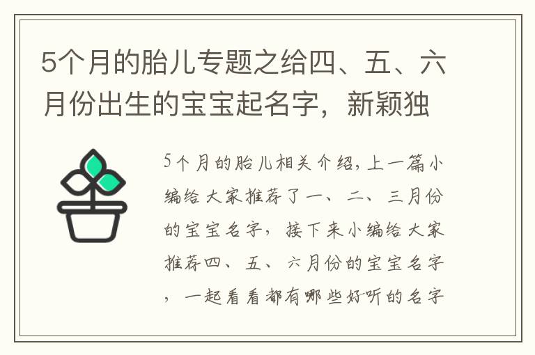 5個(gè)月的胎兒專題之給四、五、六月份出生的寶寶起名字，新穎獨(dú)特有意義