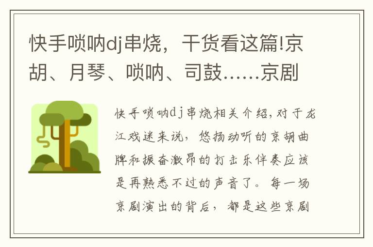 快手嗩吶dj串燒，干貨看這篇!京胡、月琴、嗩吶、司鼓……京劇樂隊專場奏響“云中戲苑”