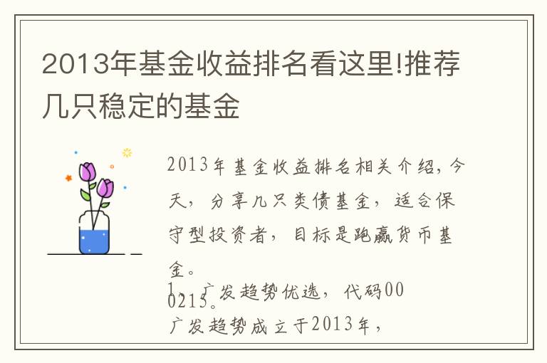 2013年基金收益排名看這里!推薦幾只穩(wěn)定的基金