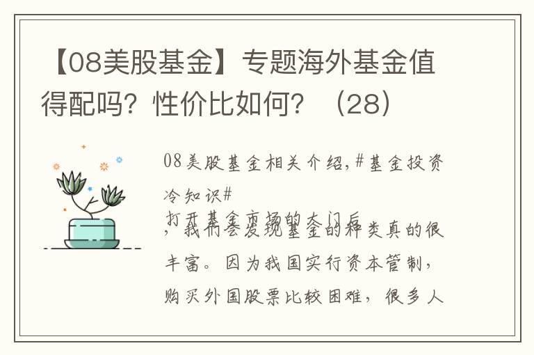 【08美股基金】專題海外基金值得配嗎？性價比如何？（28）