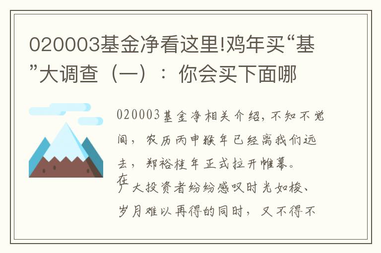 020003基金凈看這里!雞年買“基”大調(diào)查（一）：你會(huì)買下面哪只混合基金？