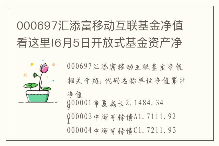 000697匯添富移動(dòng)互聯(lián)基金凈值看這里!6月5日開放式基金資產(chǎn)凈值日報(bào)表