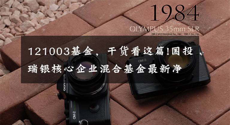 121003基金，干貨看這篇!國(guó)投瑞銀核心企業(yè)混合基金最新凈值漲幅達(dá)1.67%