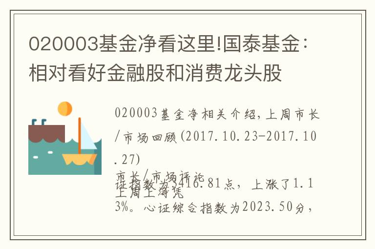 020003基金凈看這里!國泰基金：相對看好金融股和消費龍頭股