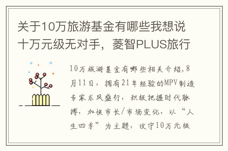 關(guān)于10萬(wàn)旅游基金有哪些我想說(shuō)十萬(wàn)元級(jí)無(wú)對(duì)手，菱智PLUS旅行版重新定義舒適大商旅