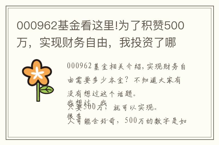 000962基金看這里!為了積贊500萬，實現(xiàn)財務自由，我投資了哪里理財標的