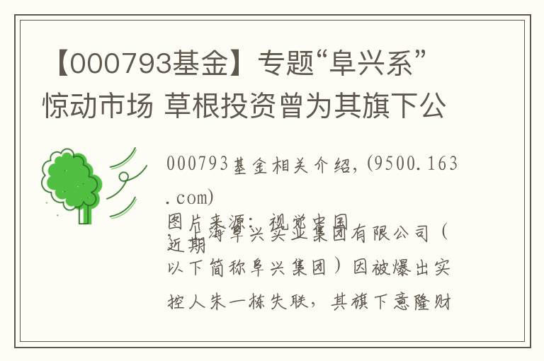 【000793基金】專題“阜興系”驚動市場 草根投資曾為其旗下公司巨額授信