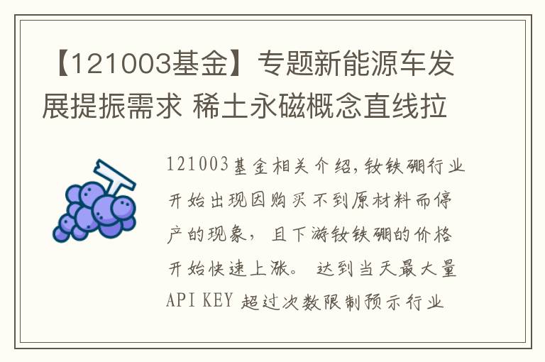 【121003基金】專題新能源車發(fā)展提振需求 稀土永磁概念直線拉升